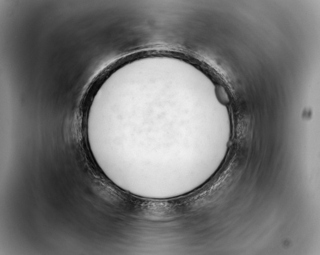 X0000103441310200810101056