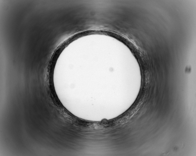 X0000103441311200810101056