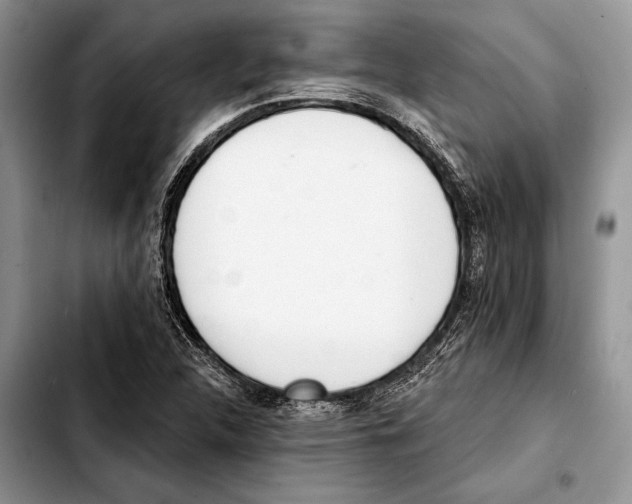 X0000103441312200810101056