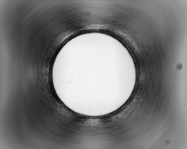 X0000103441313200810101056