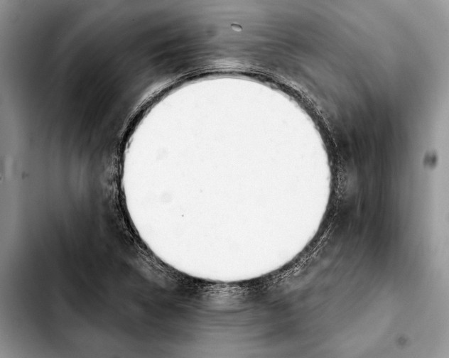 X0000103441314200810101056