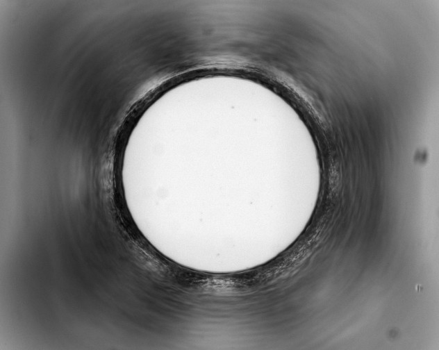 X0000103441315200810101056