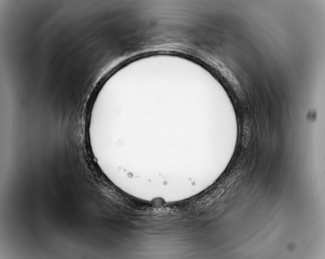 X0000103441316200810101056