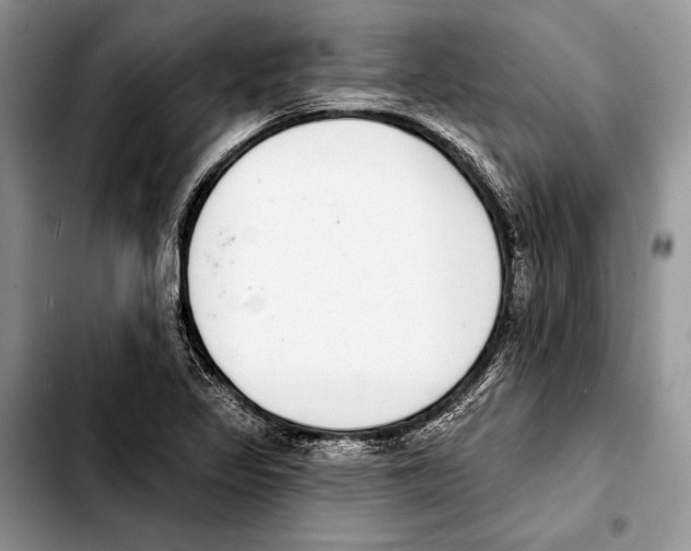 X0000103441317200810101056