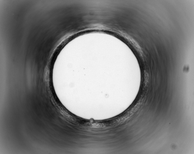 X0000103441318200810101056