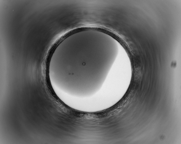 X0000103441319200810101056