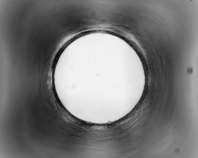 X0000103441320200810101056