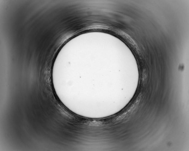X0000103441321200810101056