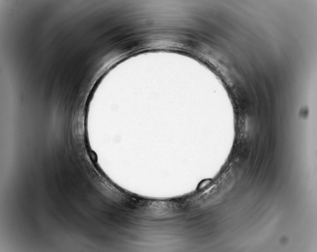 X0000103441322200810101056