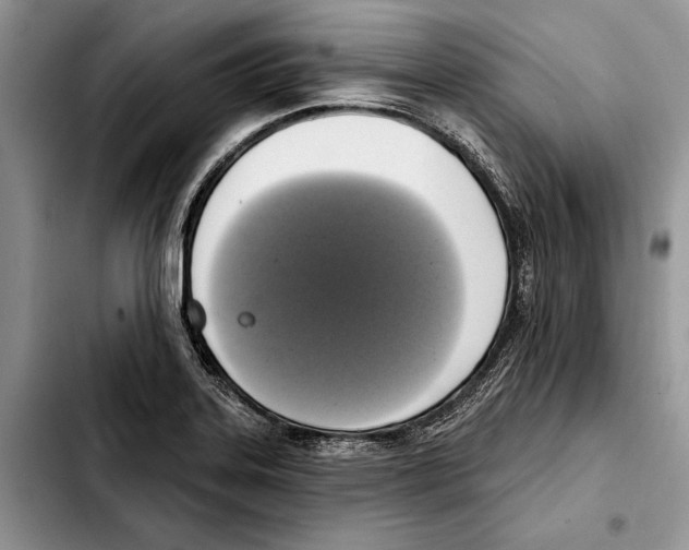 X0000103441323200810101056