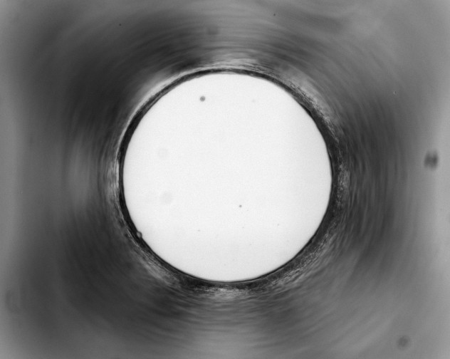 X0000103441324200810101056