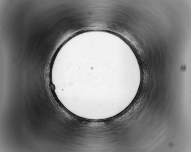 X0000103441325200810101056