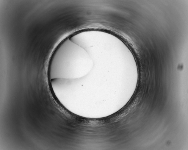 X0000103441326200810101056