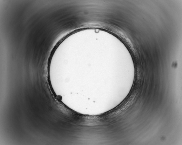 X0000103441328200810101056