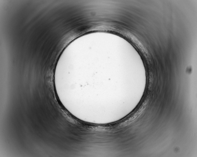 X0000103441329200810101056