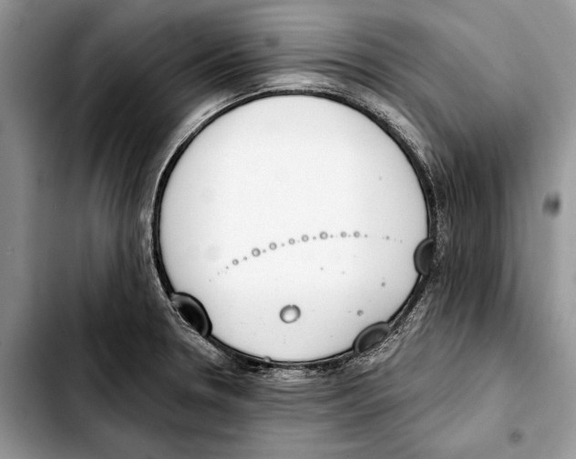 X0000103441330200810101056