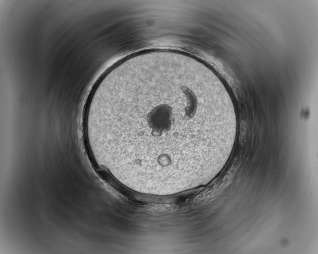 X0000103441331200810101056