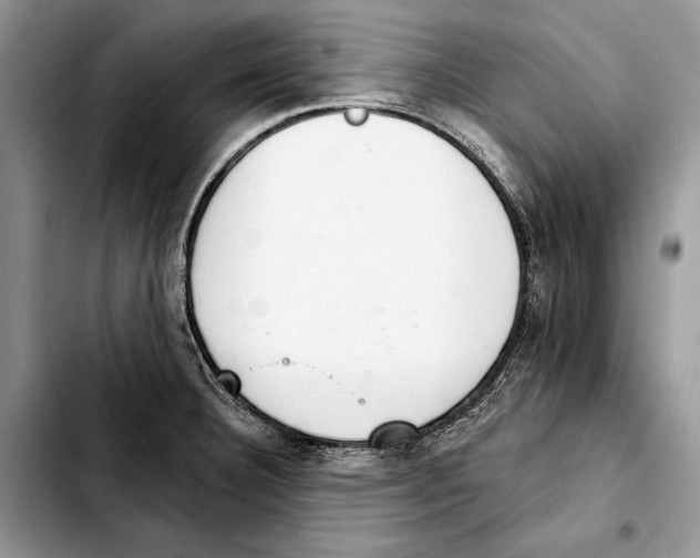 X0000103441332200810101056