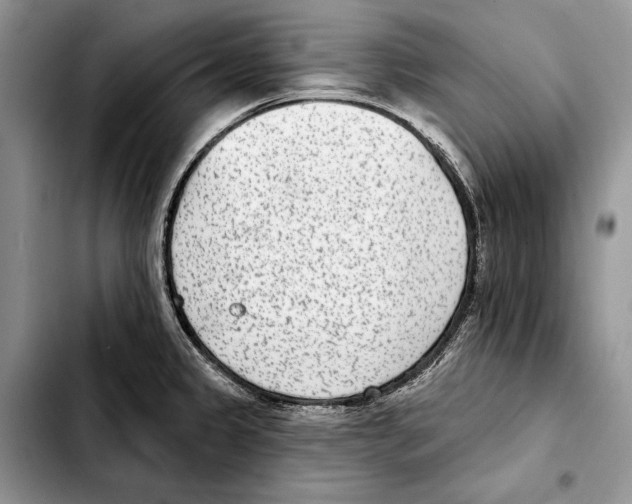 X0000103441333200810101056