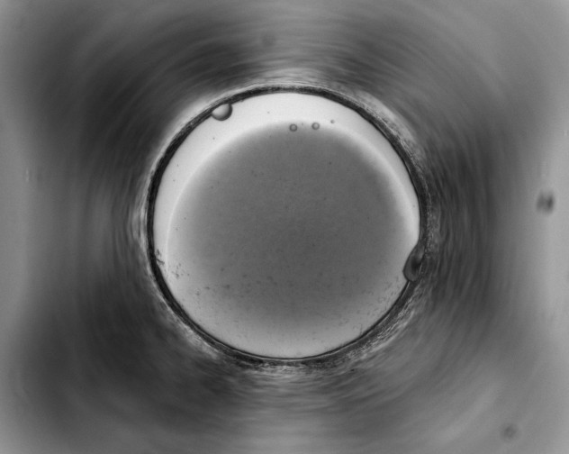 X0000103441334200810101057