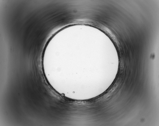 X0000103441336200810101057