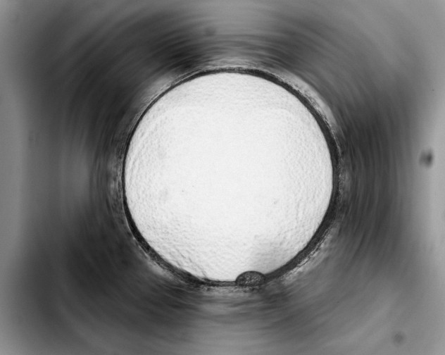 X0000103441337200810101057
