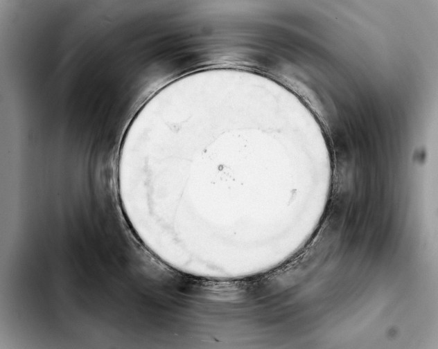 X0000103441338200810101057