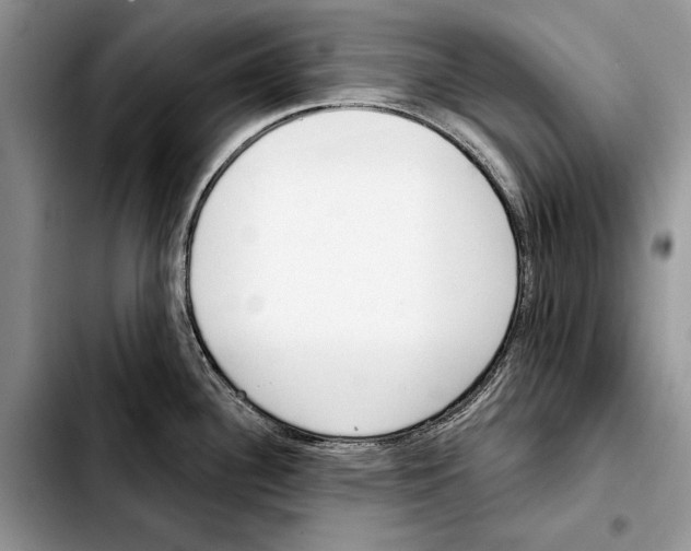 X0000103441340200810101057