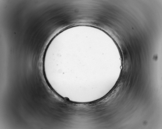 X0000103441341200810101057