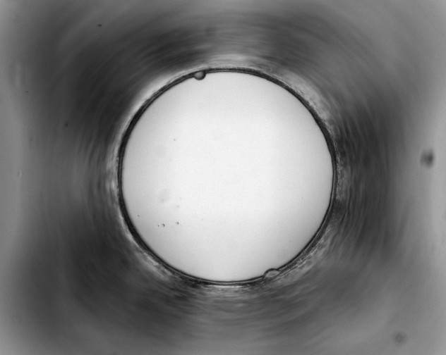 X0000103441342200810101057