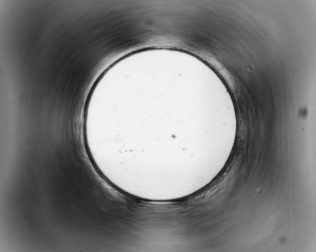 X0000103441343200810101057