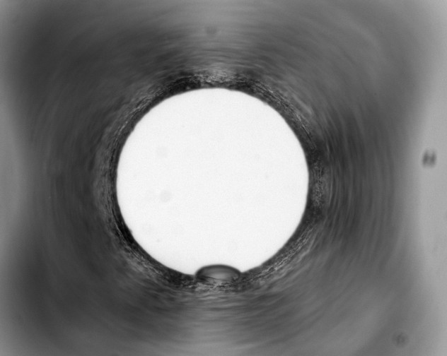 X0000103441345200810101056