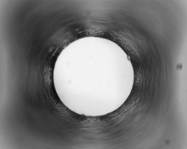 X0000103441346200810101056