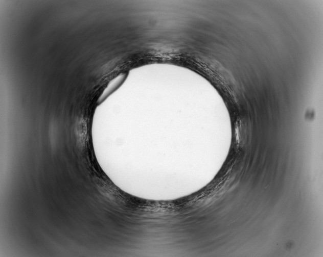 X0000103441347200810101056