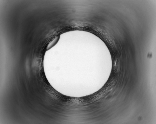 X0000103441348200810101056
