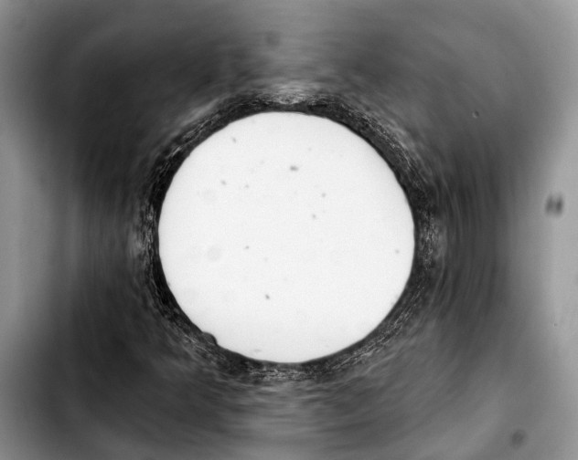 X0000103441349200810101056
