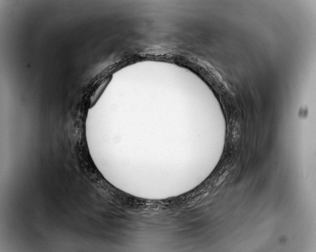 X0000103441350200810101056