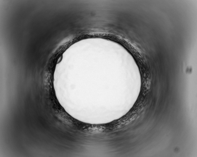 X0000103441351200810101056