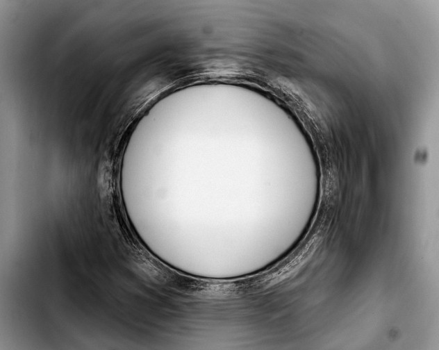 X0000103441353200810101056