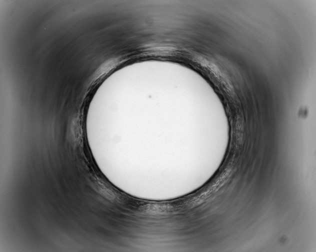 X0000103441354200810101056