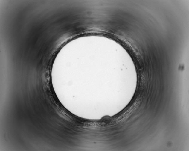 X0000103441355200810101056