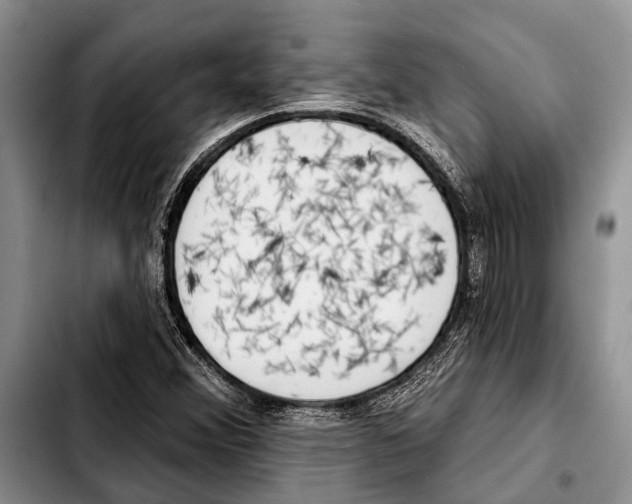 X0000103441356200810101056
