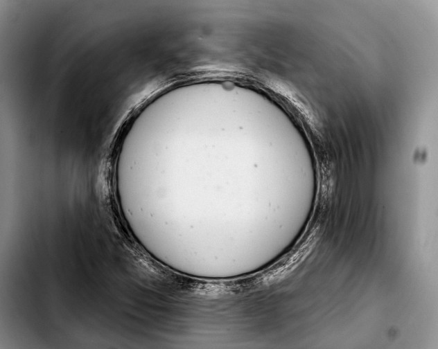 X0000103441357200810101056