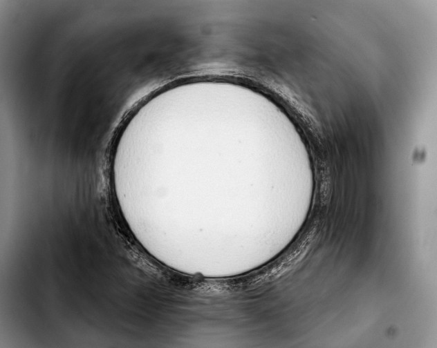 X0000103441358200810101056