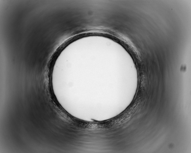 X0000103441360200810101056