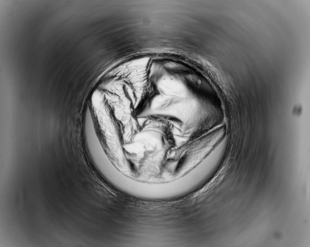 X0000103441361200810101056
