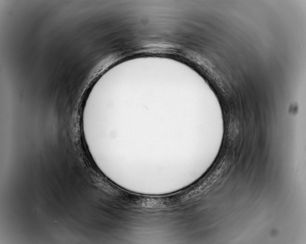 X0000103441362200810101056