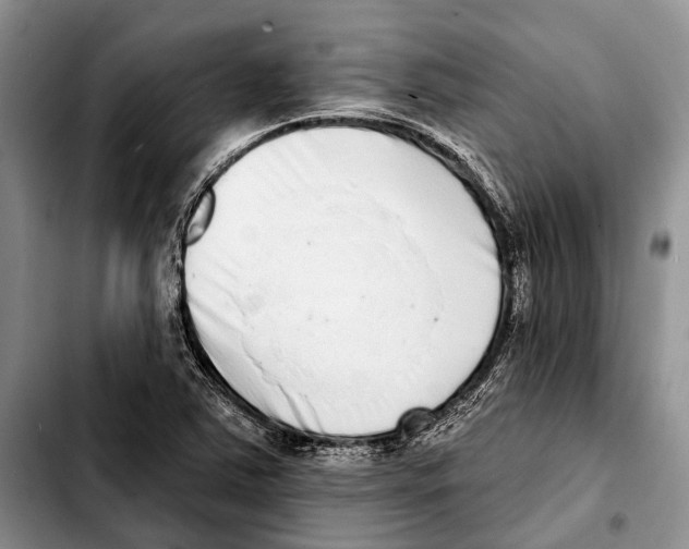 X0000103441363200810101056