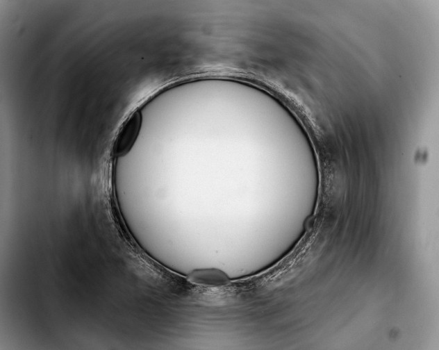 X0000103441365200810101056