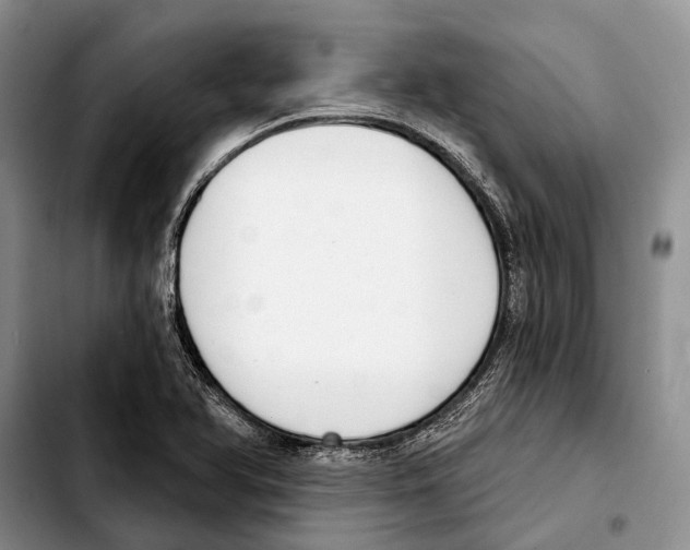 X0000103441366200810101056